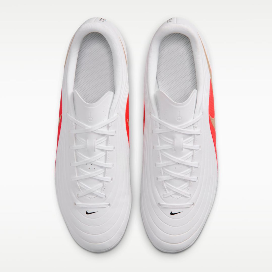 Tiempo Maestro Club FG