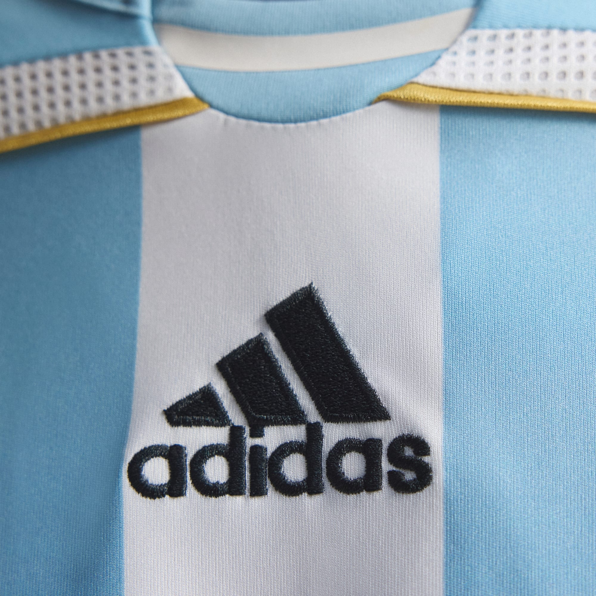 World Cup 2006 Argentina Home