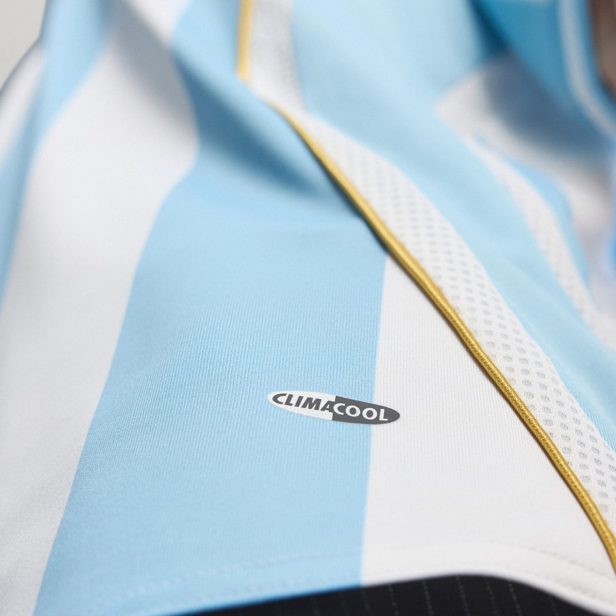 World Cup 2006 Argentina Home