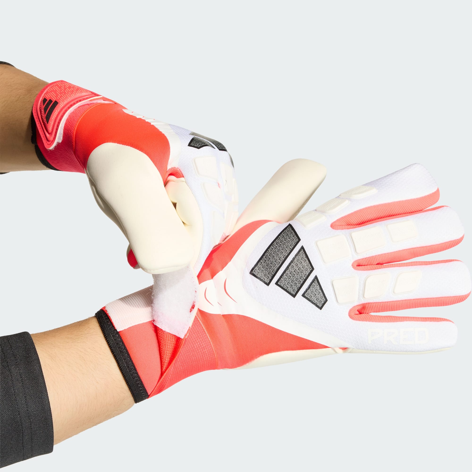 Predator Goalkeeper Glove Competition