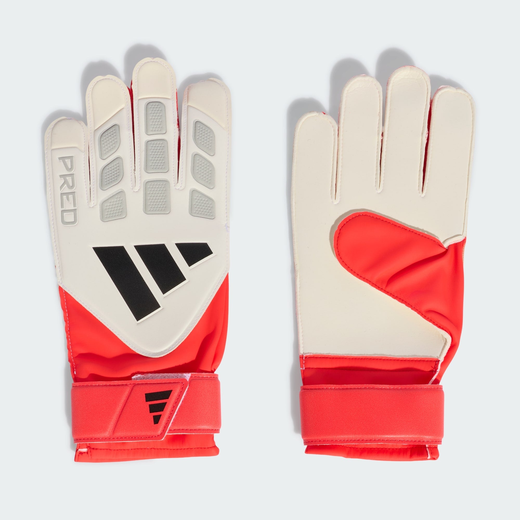 Predator Goalkeeper Glove Training