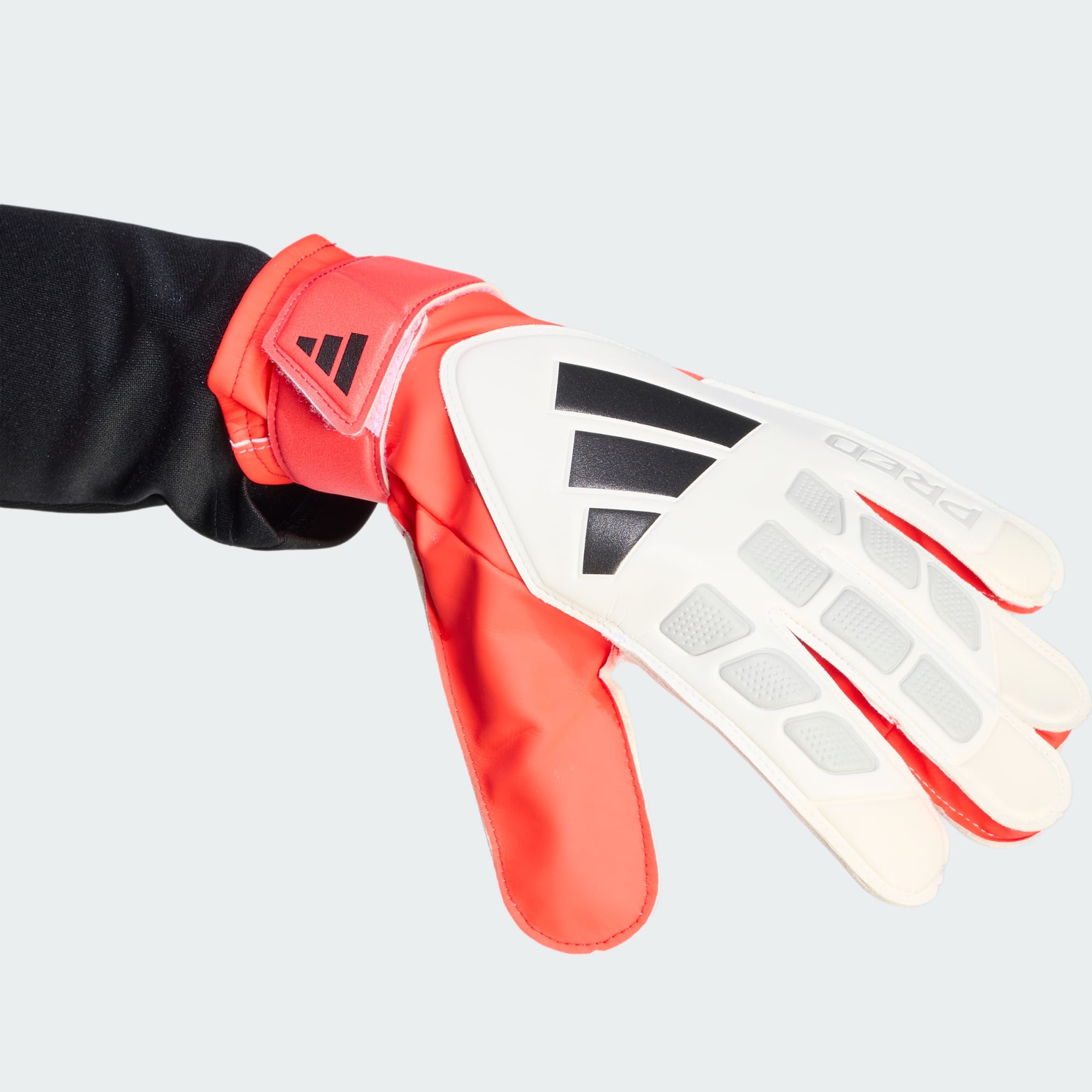 Predator Goalkeeper Glove Training